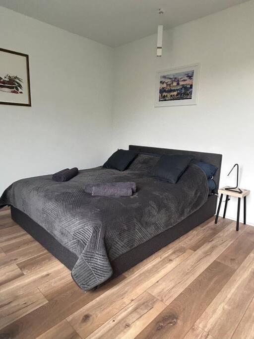 Apartament Stary シュチェチン エクステリア 写真