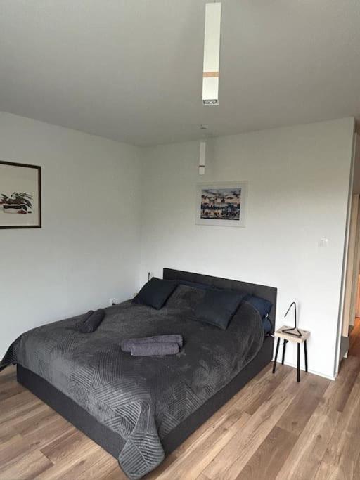 Apartament Stary シュチェチン エクステリア 写真
