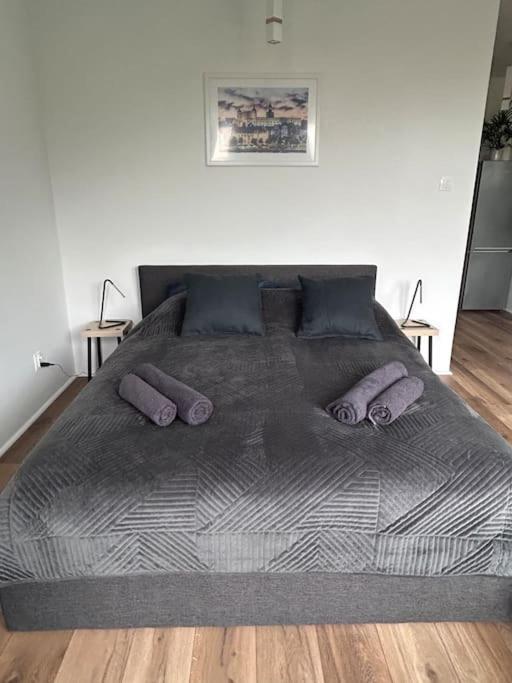Apartament Stary シュチェチン エクステリア 写真
